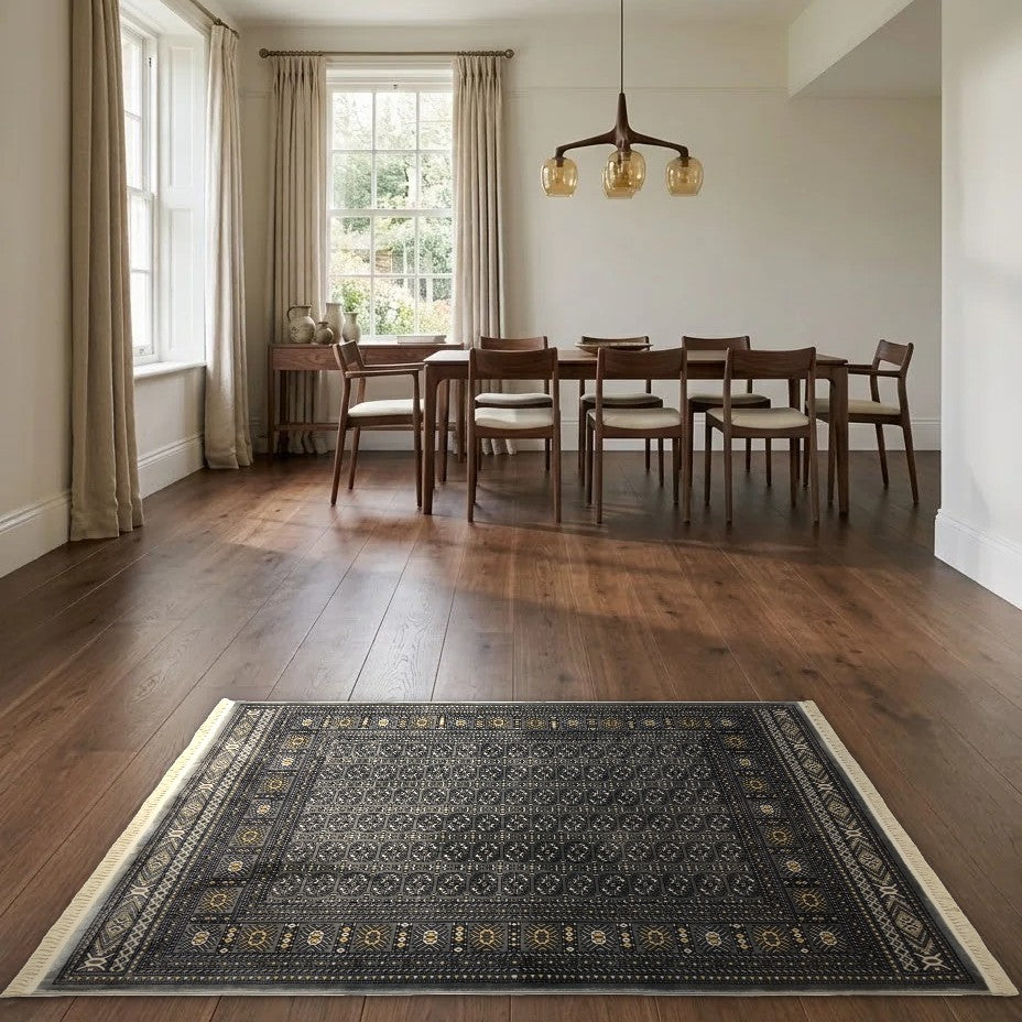 Room view: the rug on the floor of a furnished room