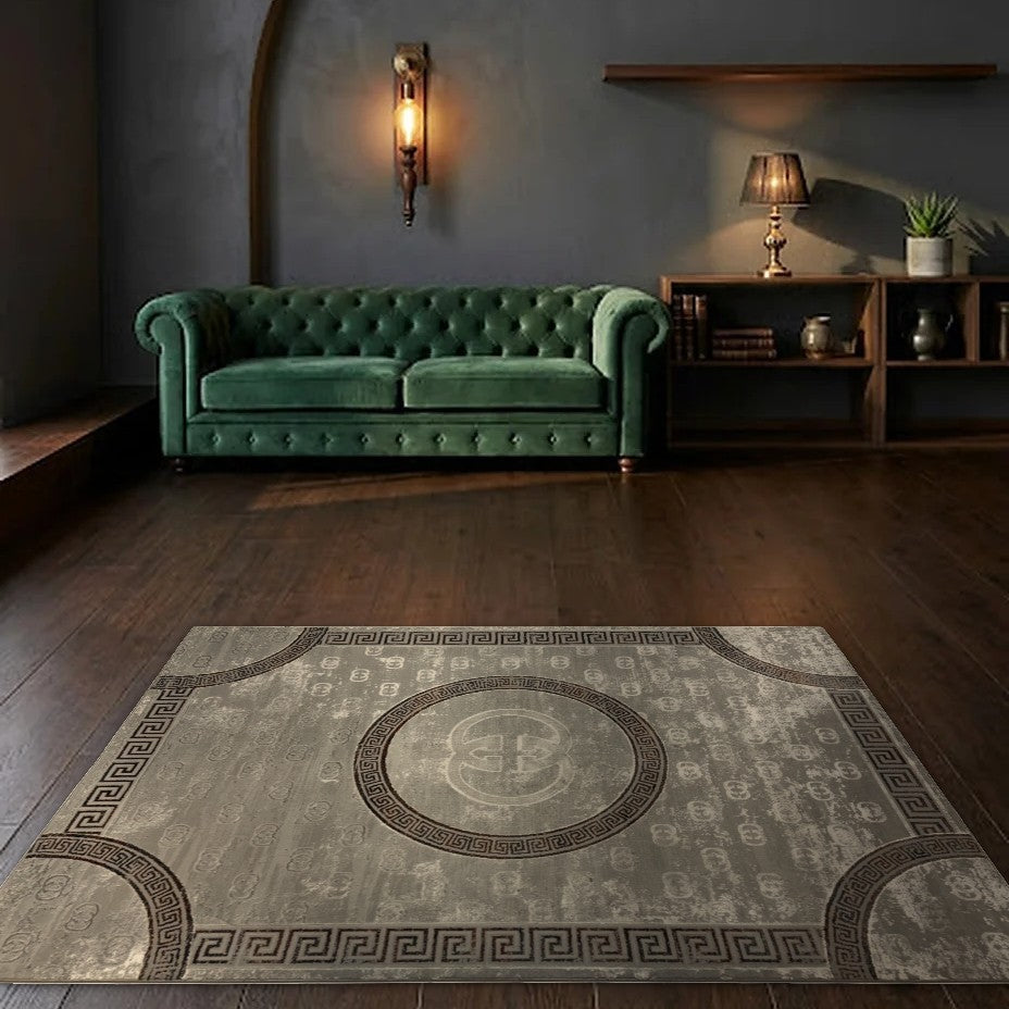 Room view: the rug on the floor of a furnished room