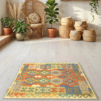 Room view: the rug on the floor of a furnished room