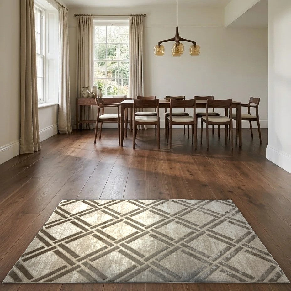 Room view: the rug on the floor of a furnished room