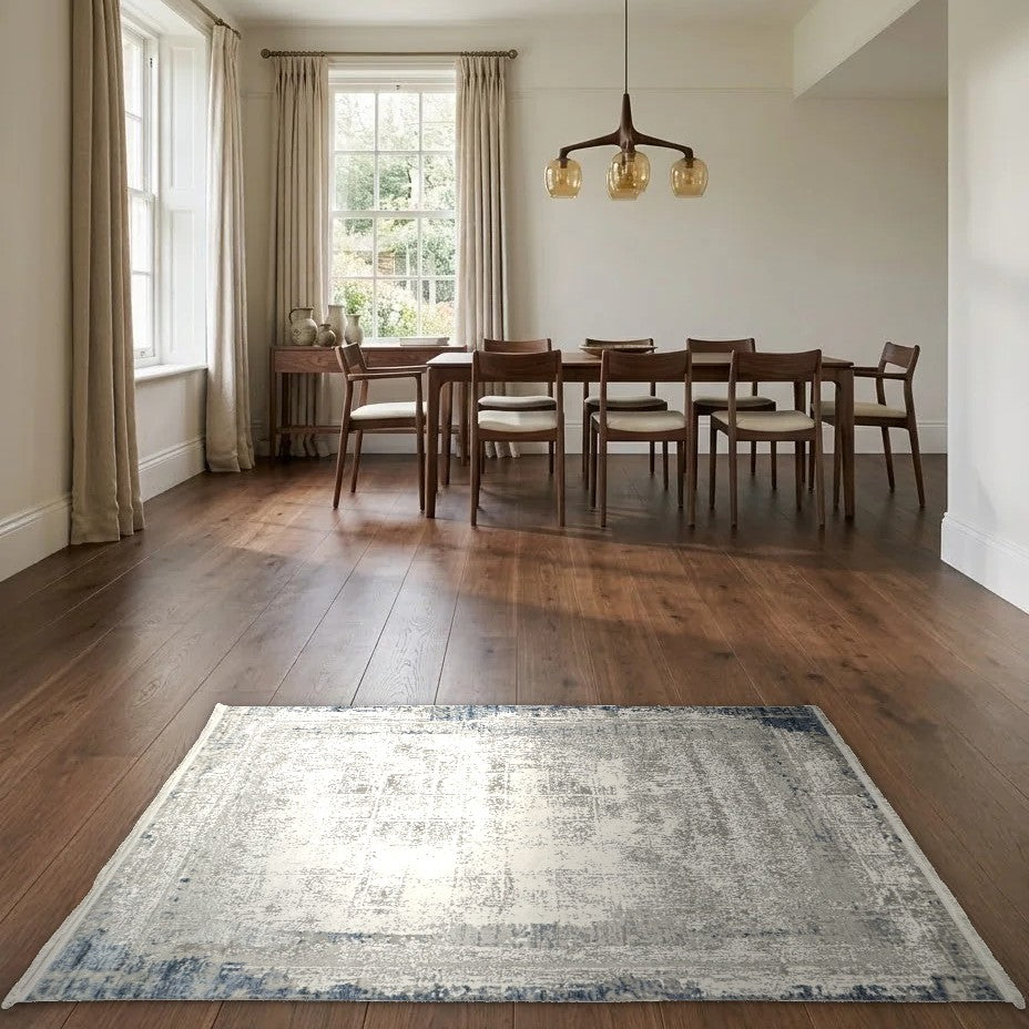 Room view: the rug on the floor of a furnished room