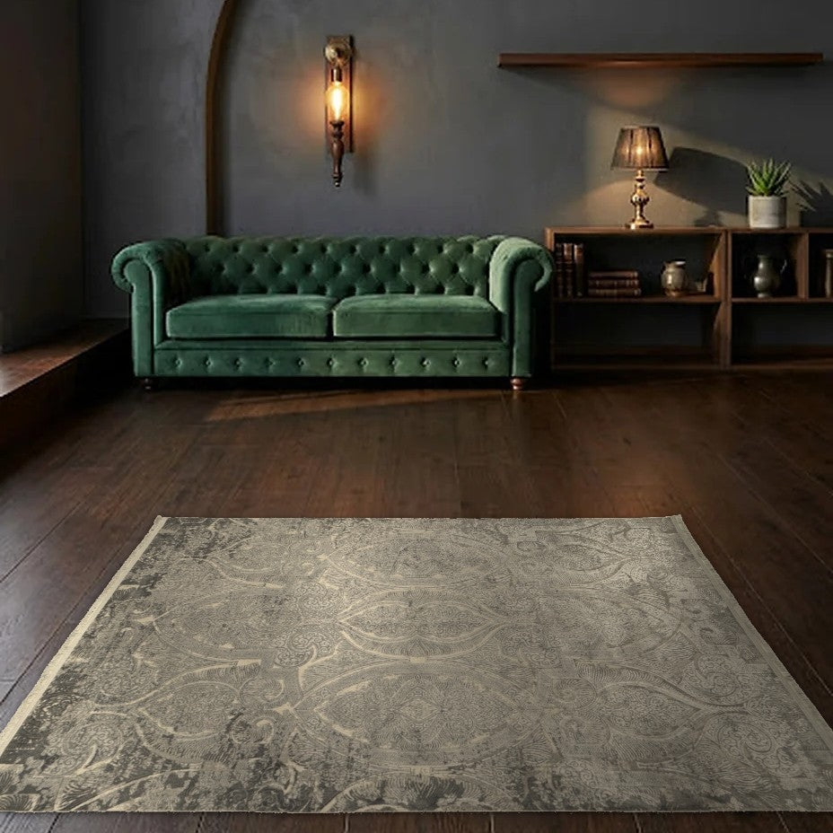 Room view: the rug on the floor of a furnished room