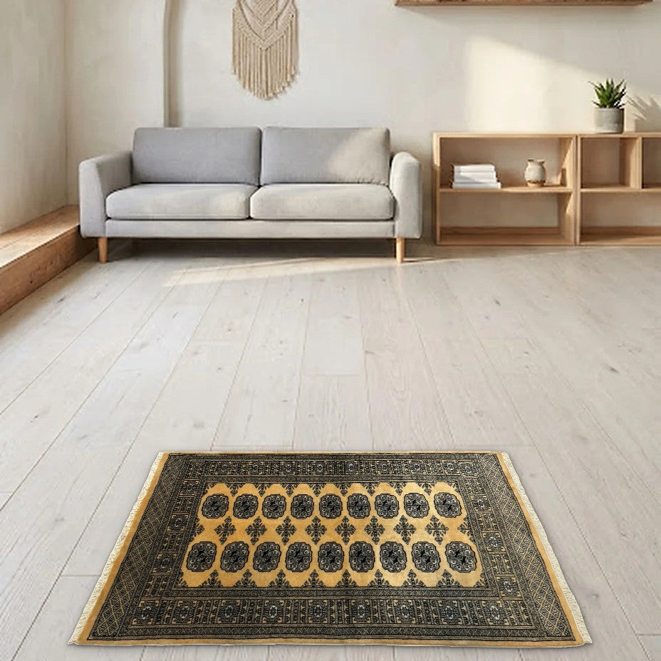 Room view: the rug on the floor of a furnished room