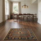 Room view: the rug on the floor of a furnished room