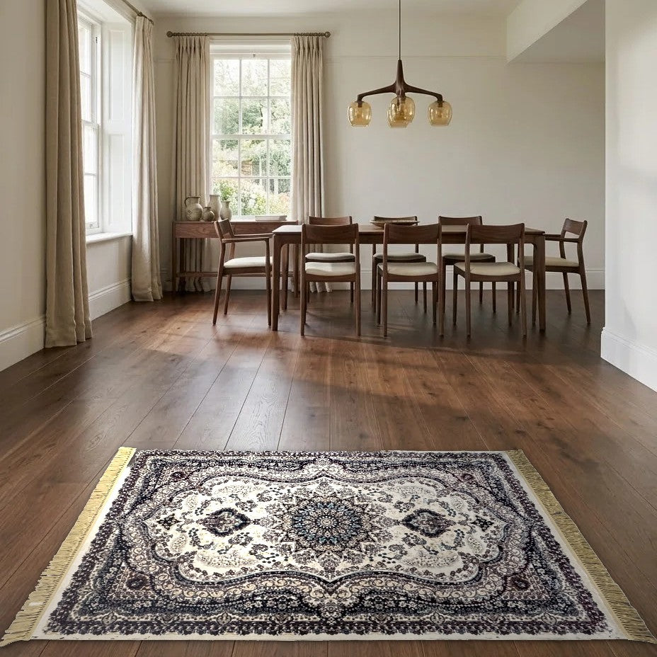 Room view: the rug on the floor of a furnished room