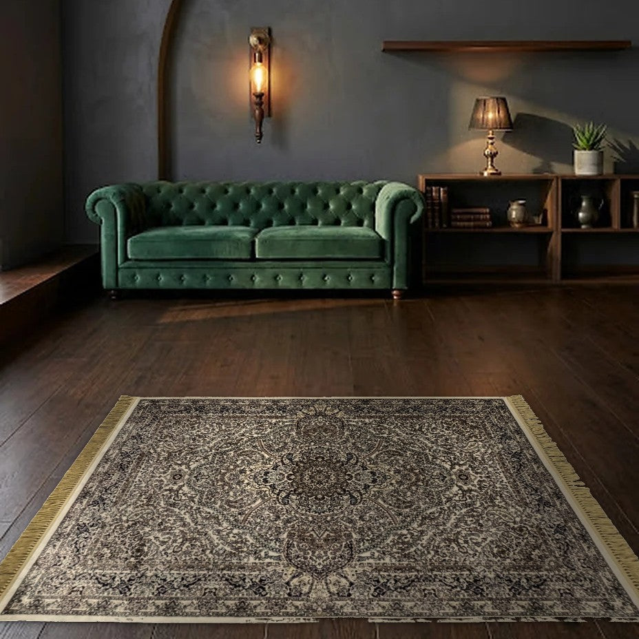 Room view: the rug on the floor of a furnished room