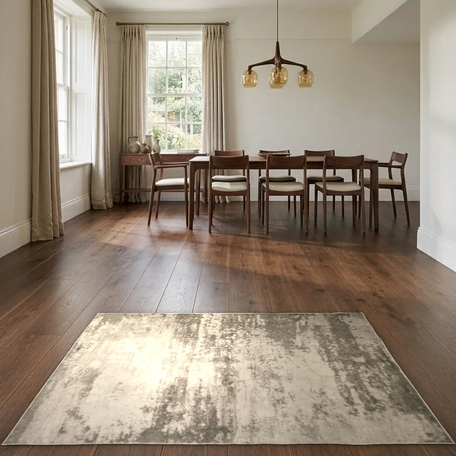 Room view: the rug on the floor of a furnished room