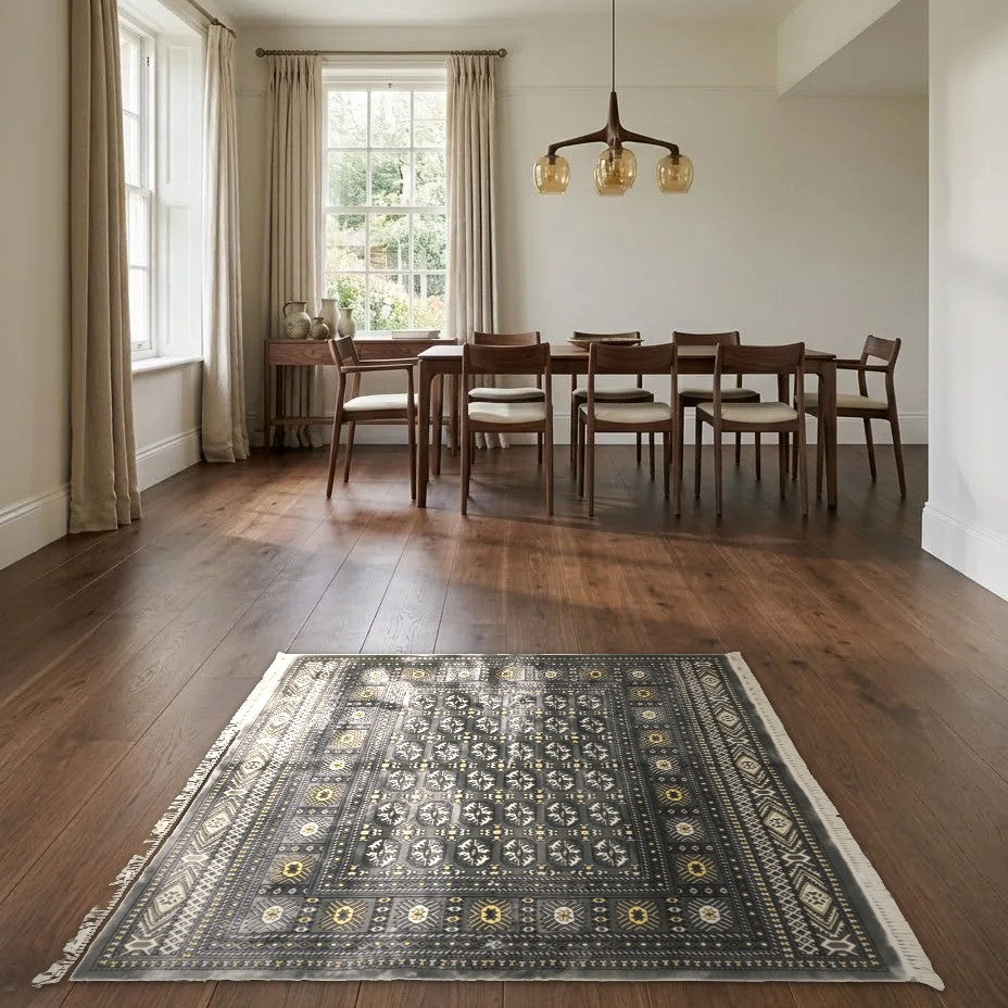 Room view: the rug on the floor of a furnished room