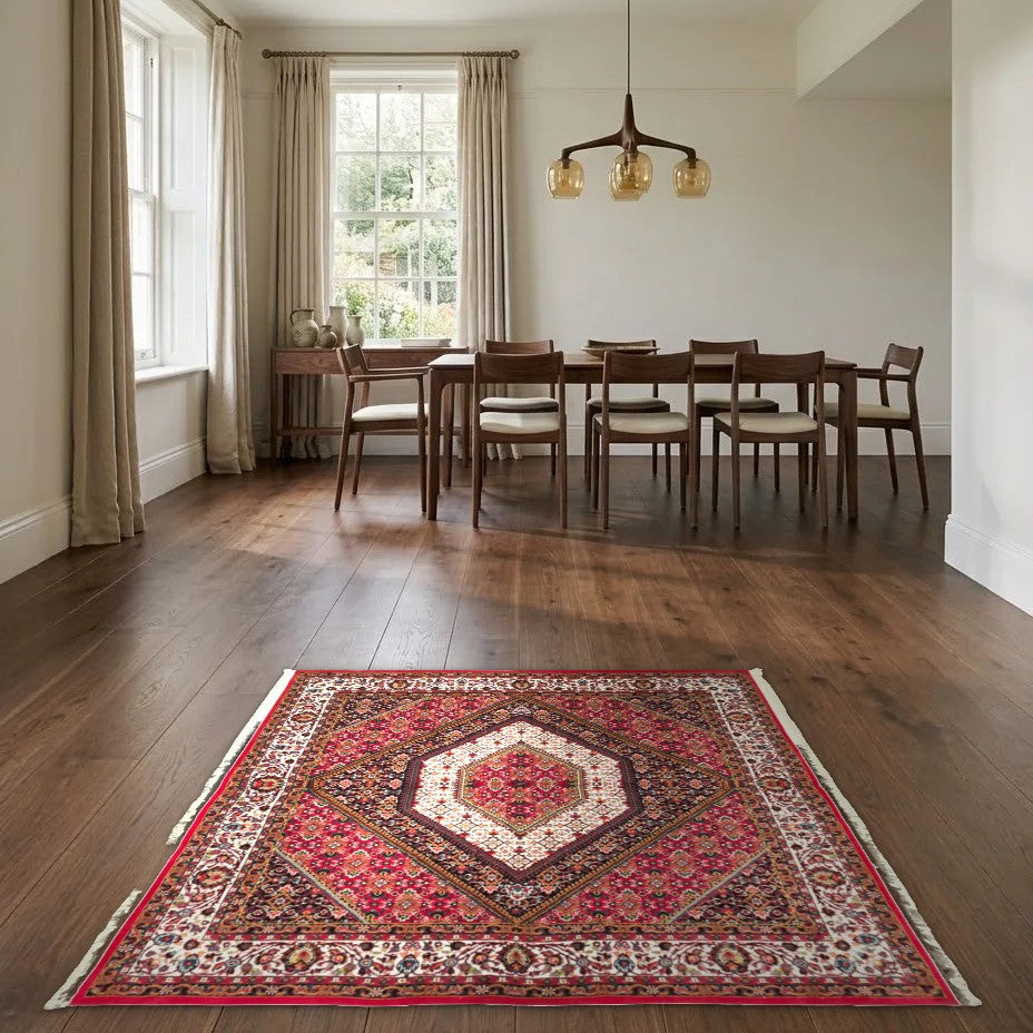 Room view: the rug on the floor of a furnished room