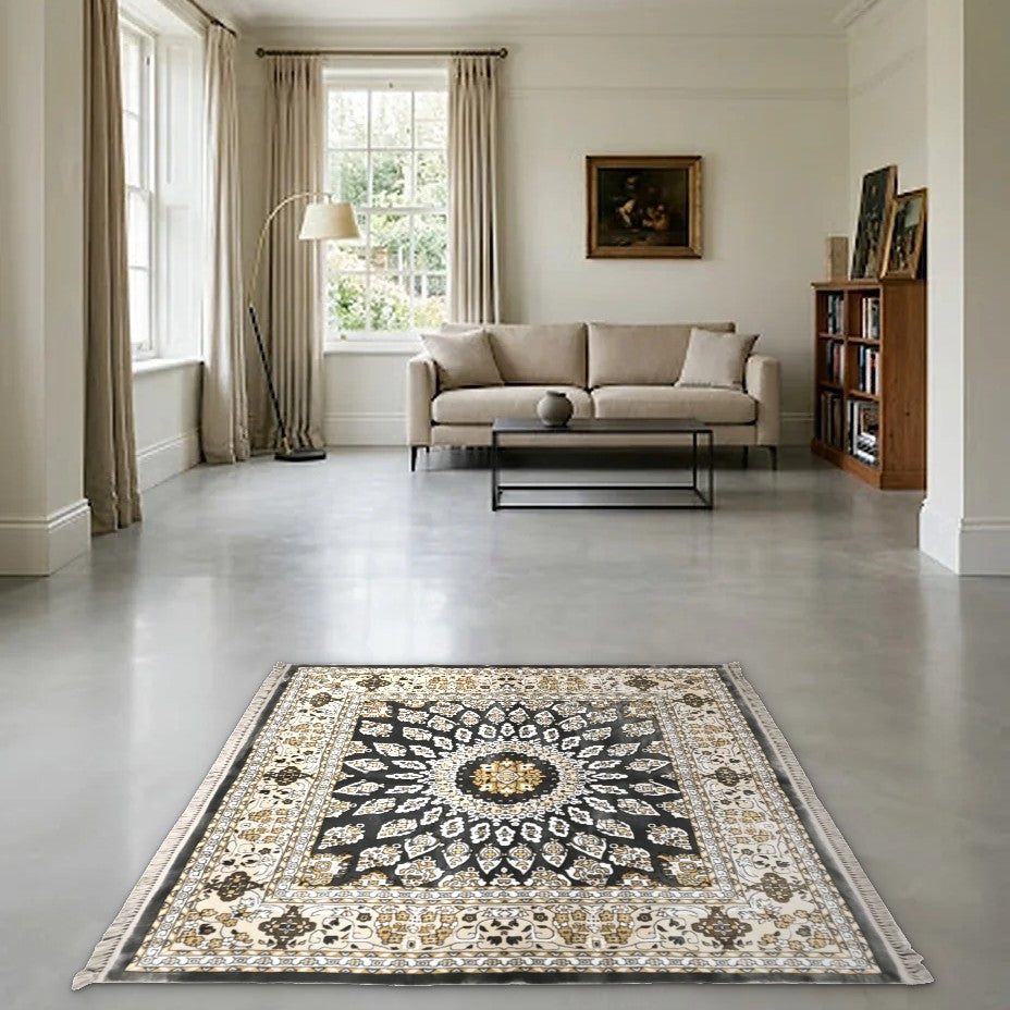 Room view: the rug on the floor of a furnished room