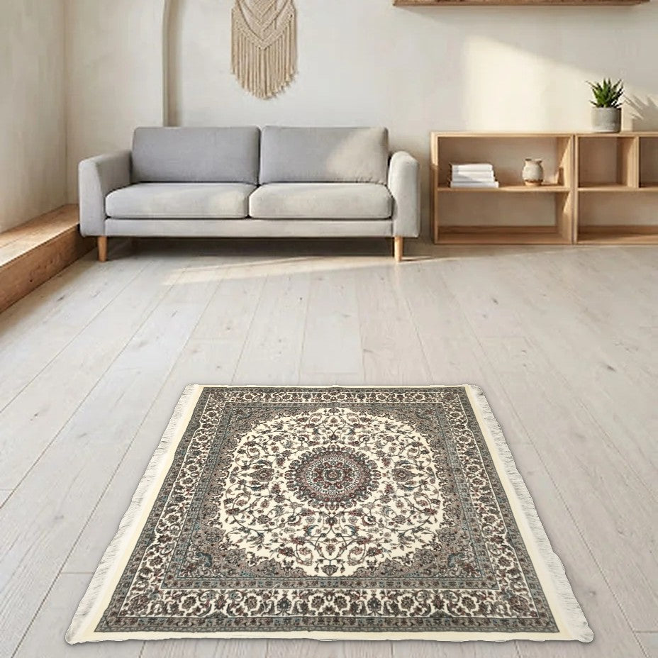 Room view: the rug on the floor of a furnished room