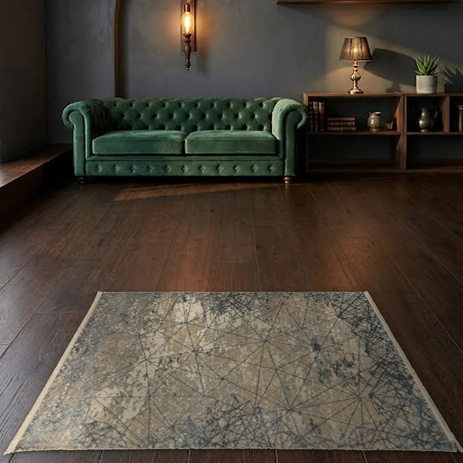 Room view: the rug on the floor of a furnished room