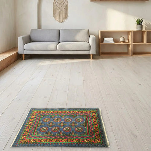 Room view: the rug on the floor of a furnished room