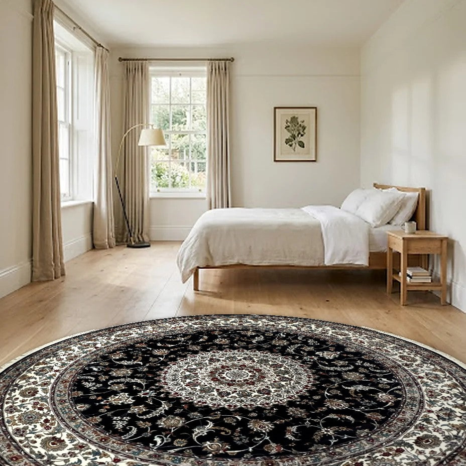 Room view: the rug on the floor of a furnished room