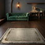 Room view: the rug on the floor of a furnished room