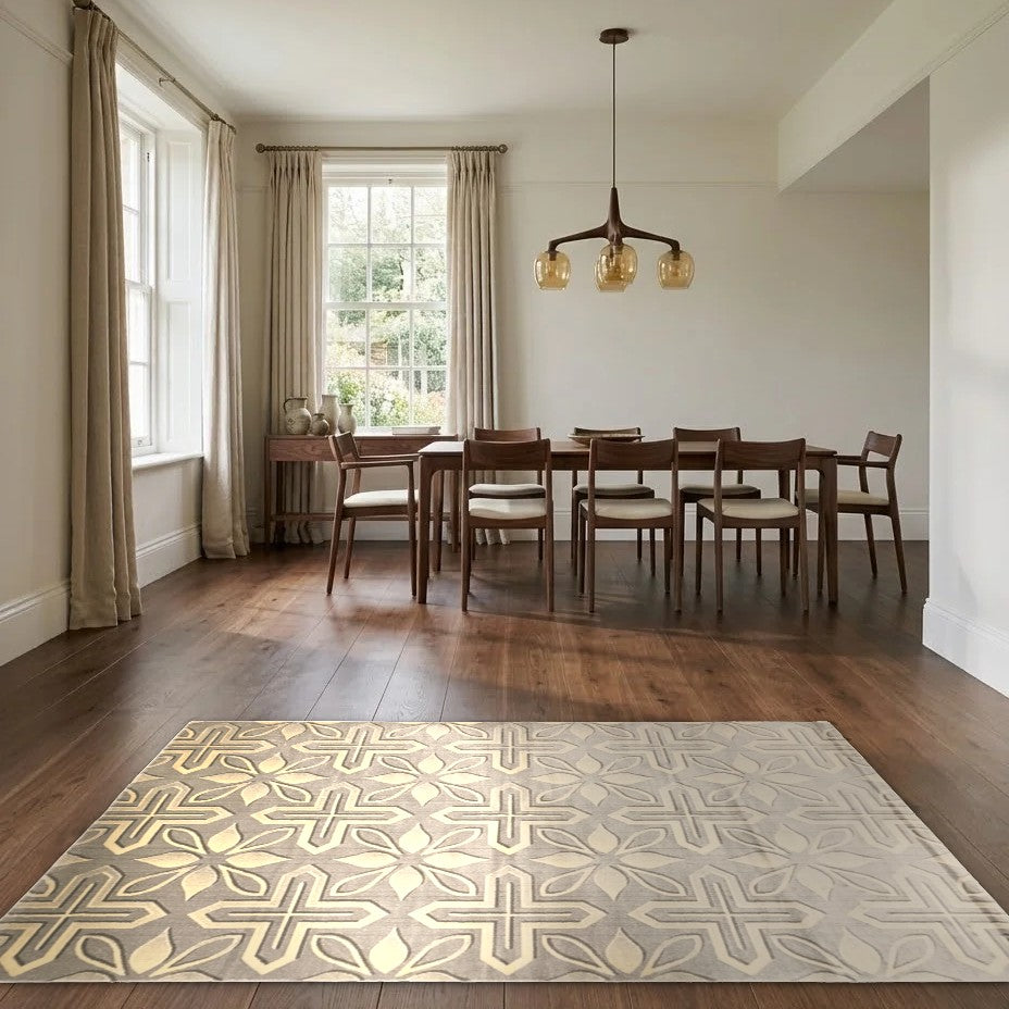 Room view: the rug on the floor of a furnished room