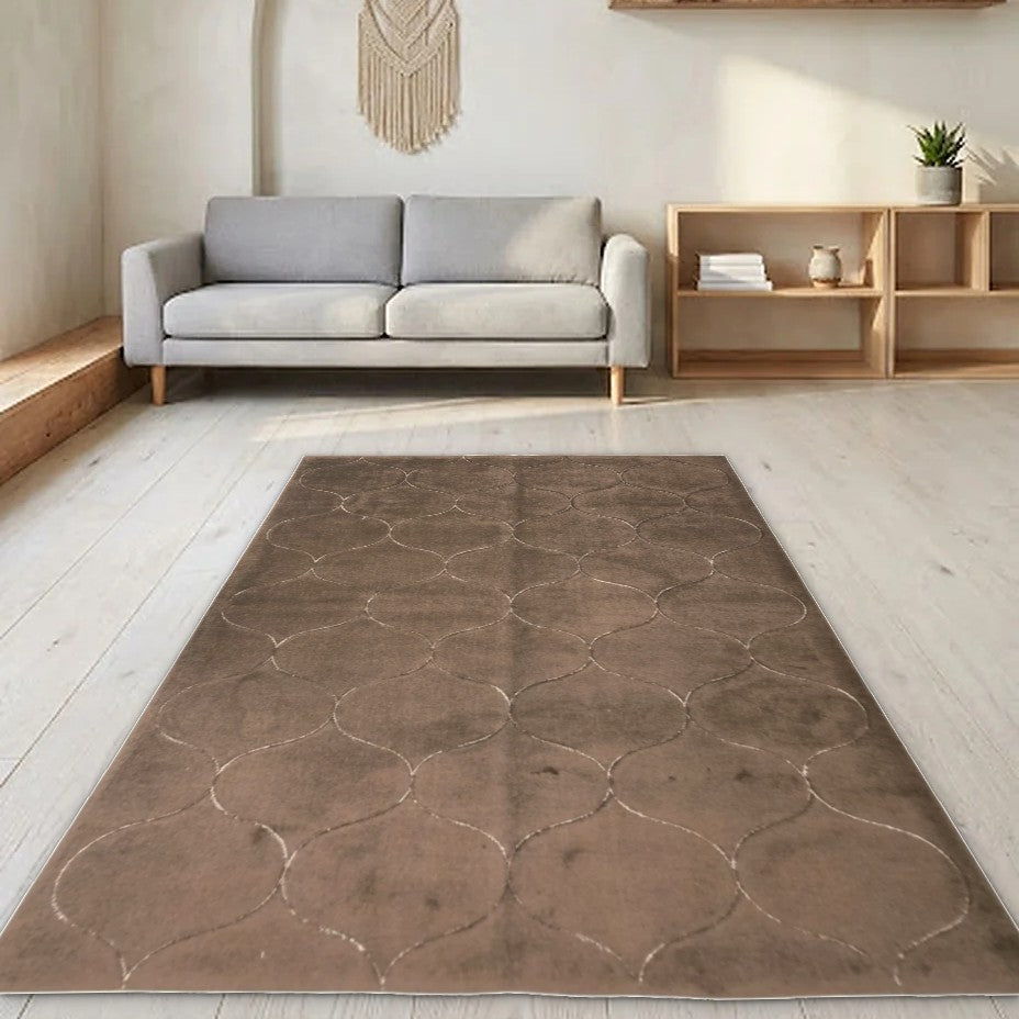 Room view: the rug on the floor of a furnished room