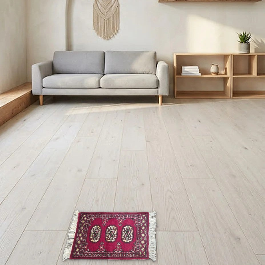 Room view: the rug on the floor of a furnished room