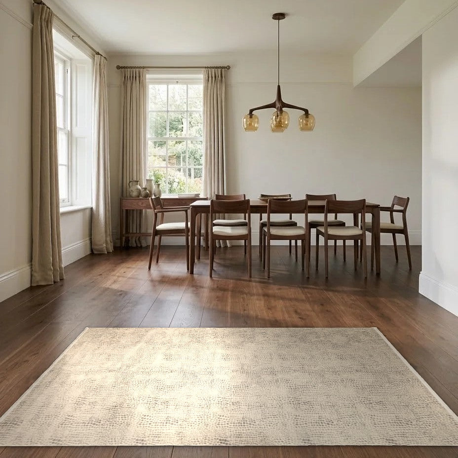 Room view: the rug on the floor of a furnished room