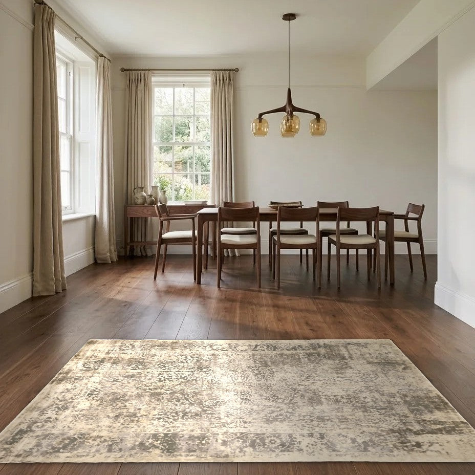 Room view: the rug on the floor of a furnished room