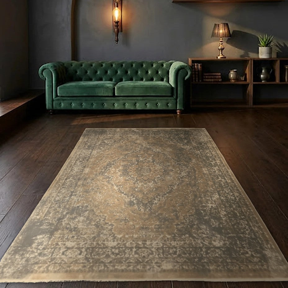 Room view: the rug on the floor of a furnished room