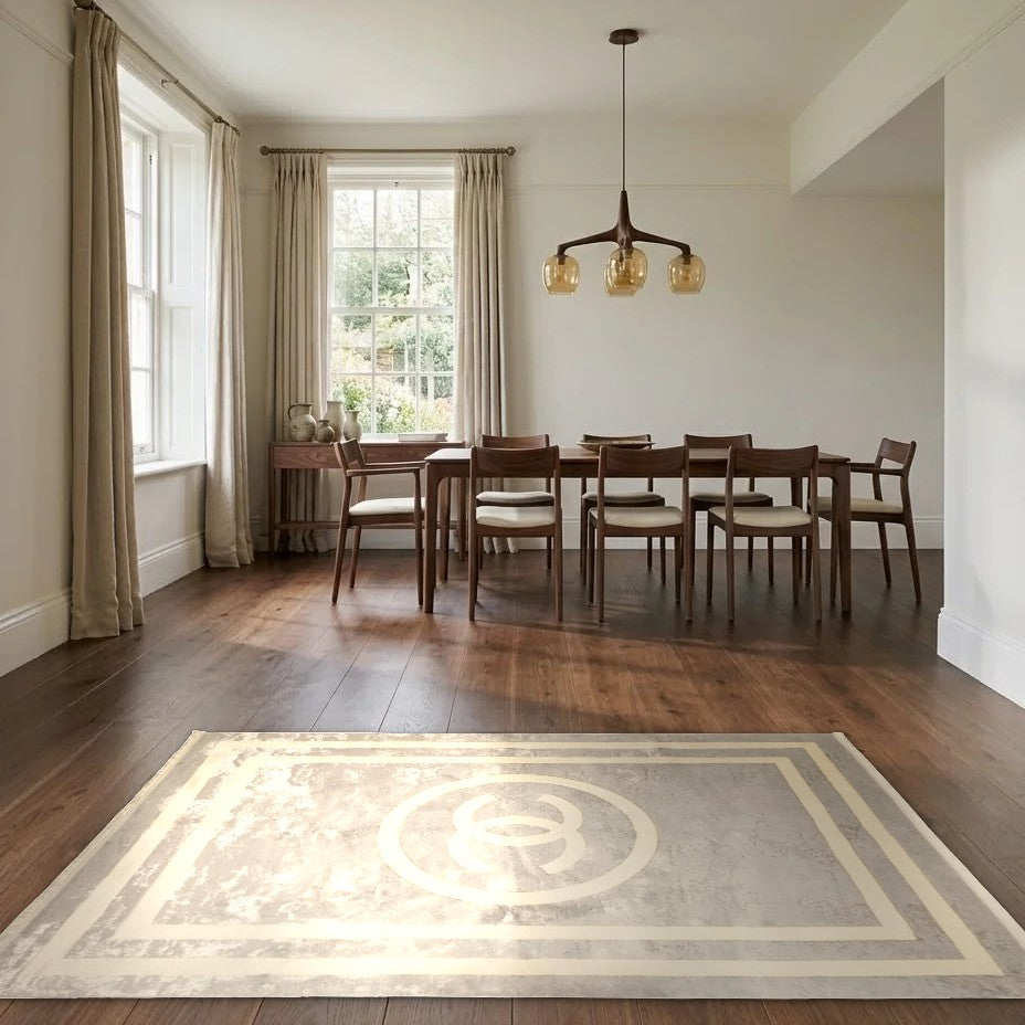 Room view: the rug on the floor of a furnished room