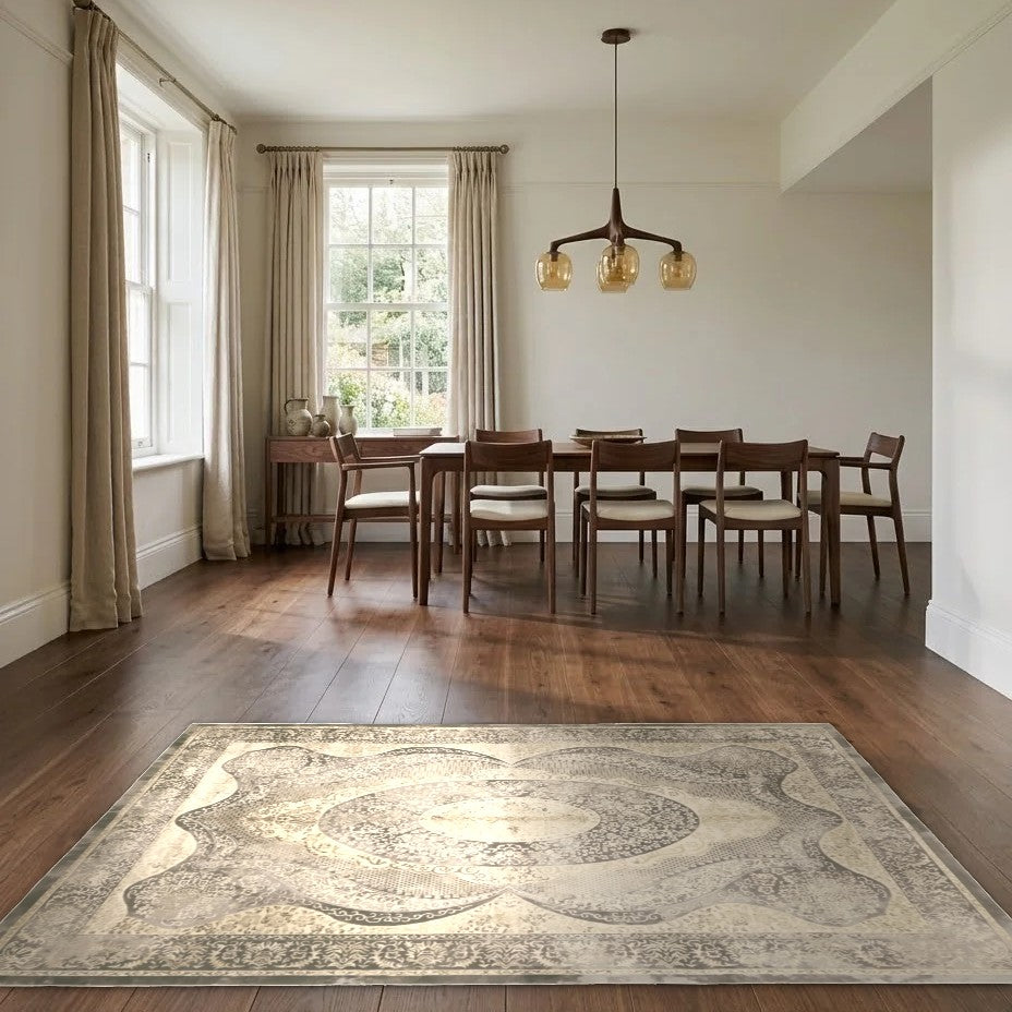 Room view: the rug on the floor of a furnished room
