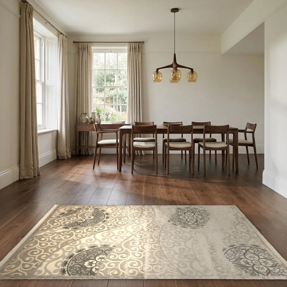 Room view: the rug on the floor of a furnished room