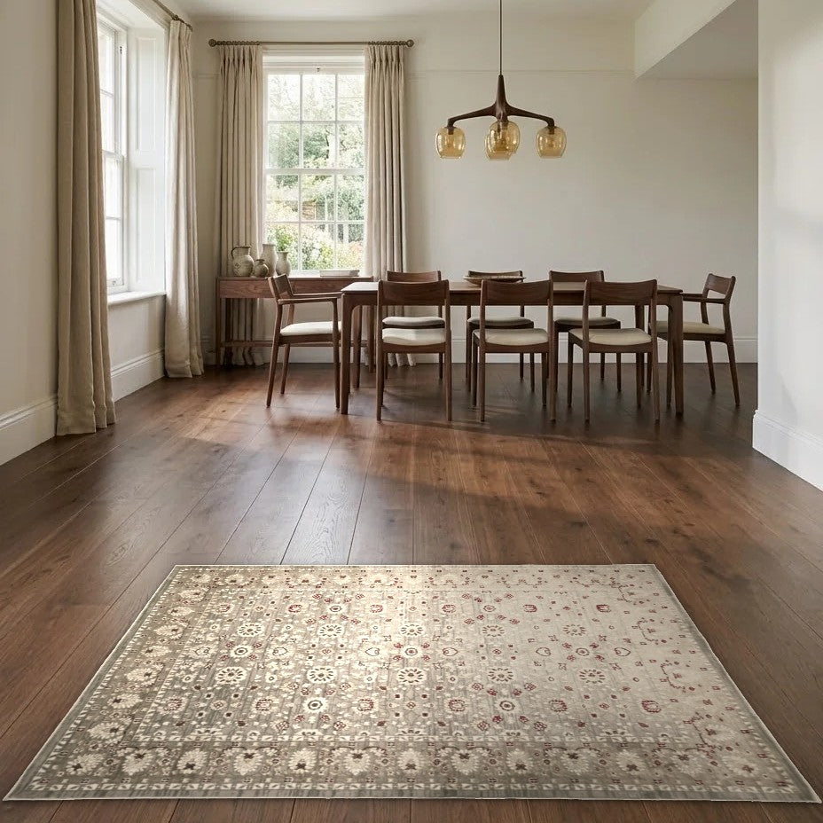 Room view: the rug on the floor of a furnished room