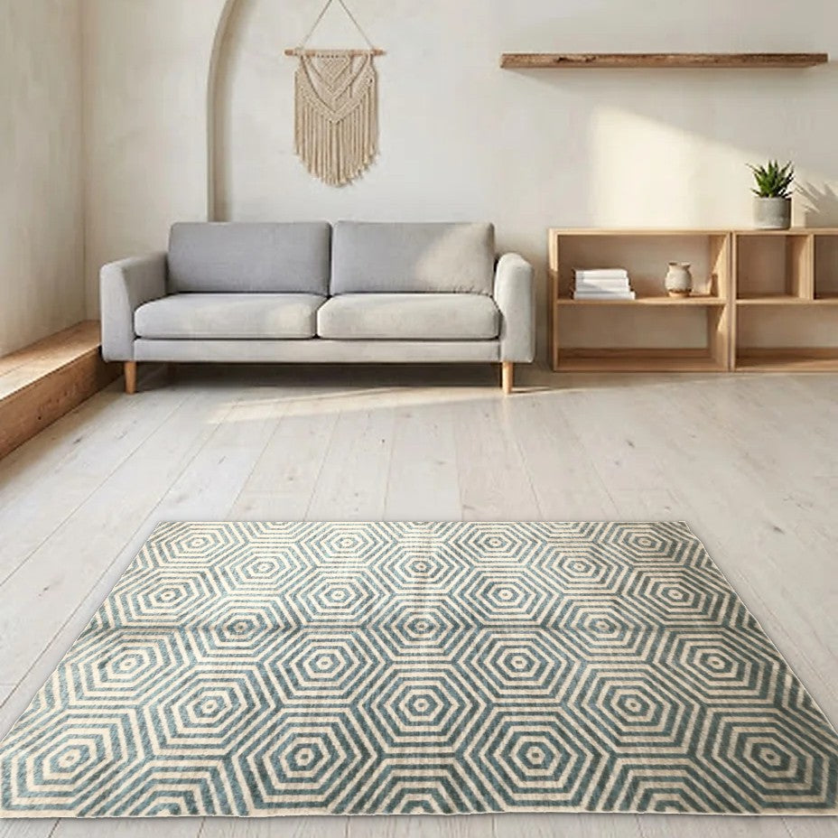 Room view: the rug on the floor of a furnished room