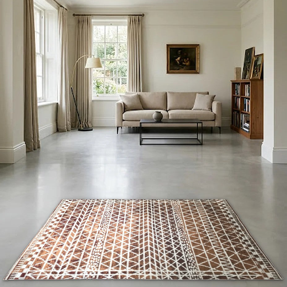 Room view: the rug on the floor of a furnished room
