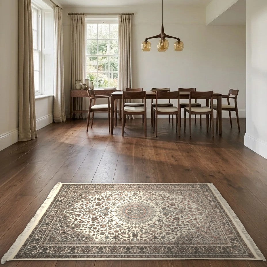 Room view: the rug on the floor of a furnished room