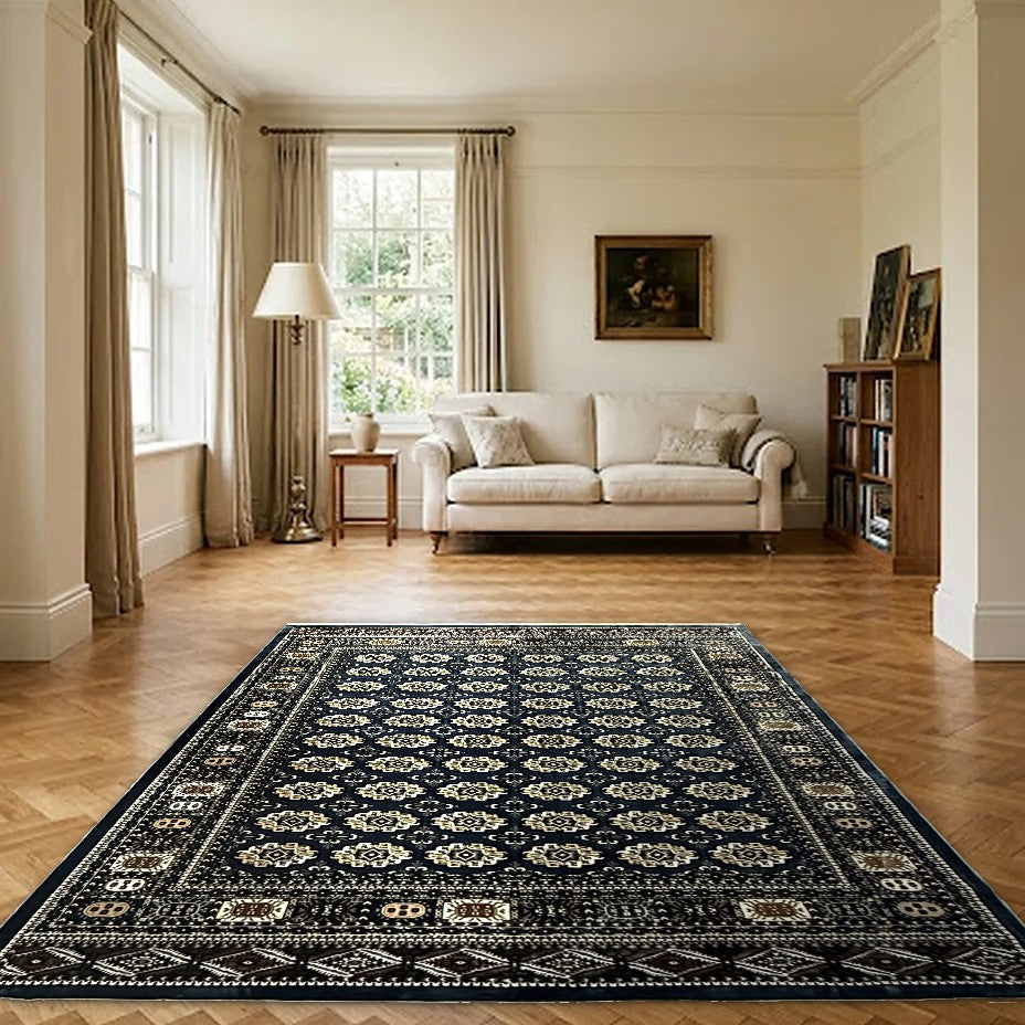 Room view: the rug on the floor of a furnished room