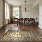 Room view: the rug on the floor of a furnished room