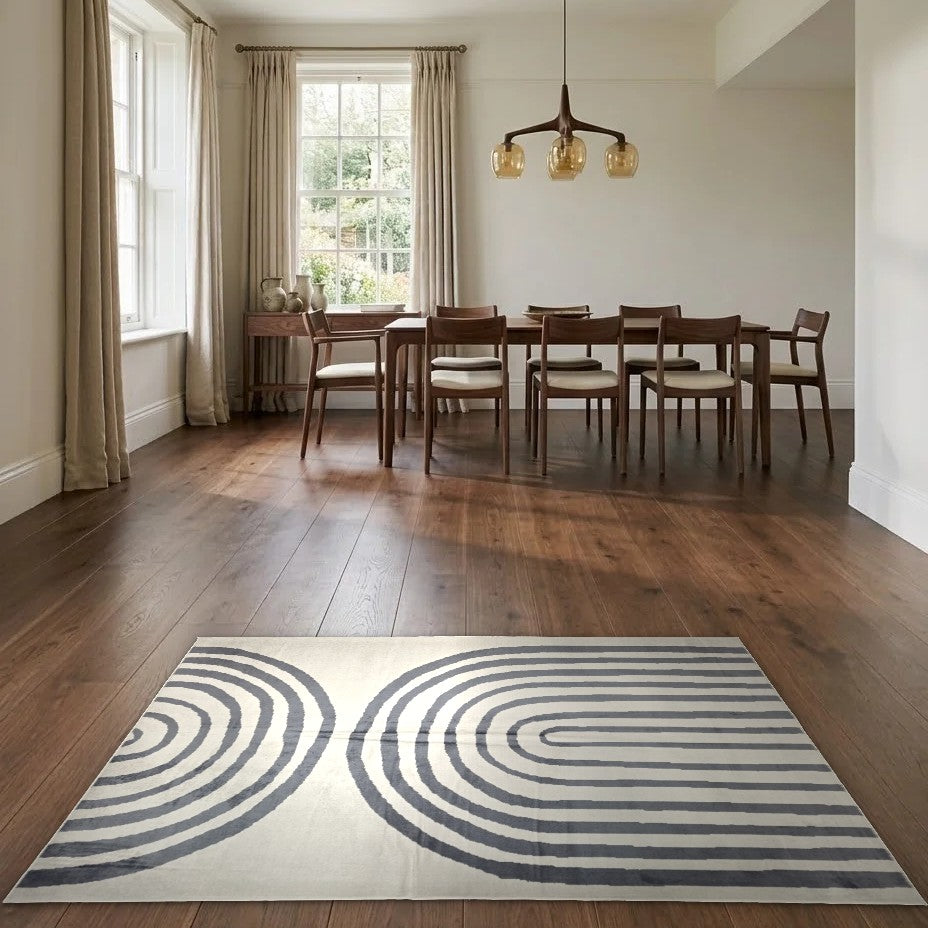 Room view: the rug on the floor of a furnished room