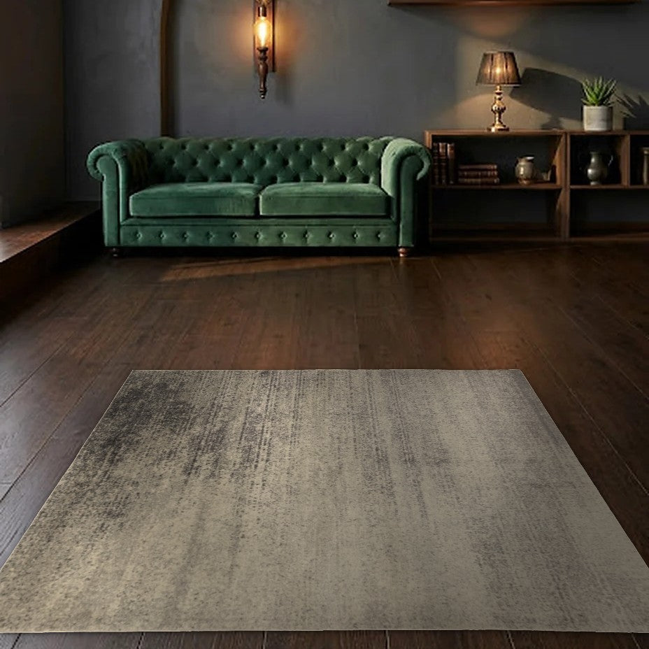 Room view: the rug on the floor of a furnished room