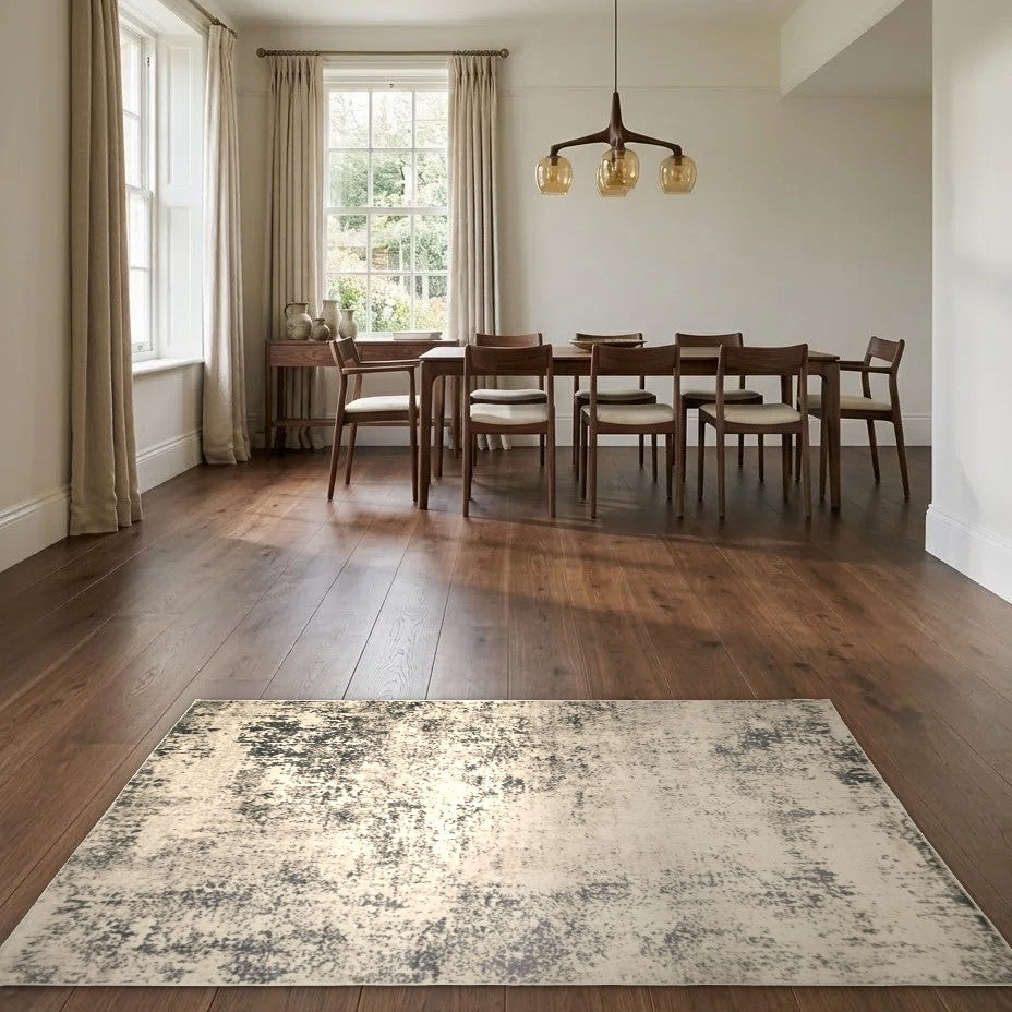 Room view: the rug on the floor of a furnished room