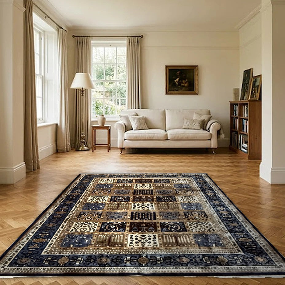 Room view: the rug on the floor of a furnished room