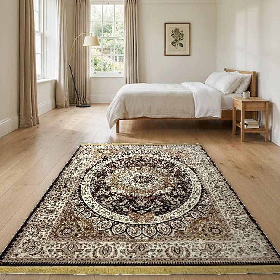 Room view: the rug on the floor of a furnished room