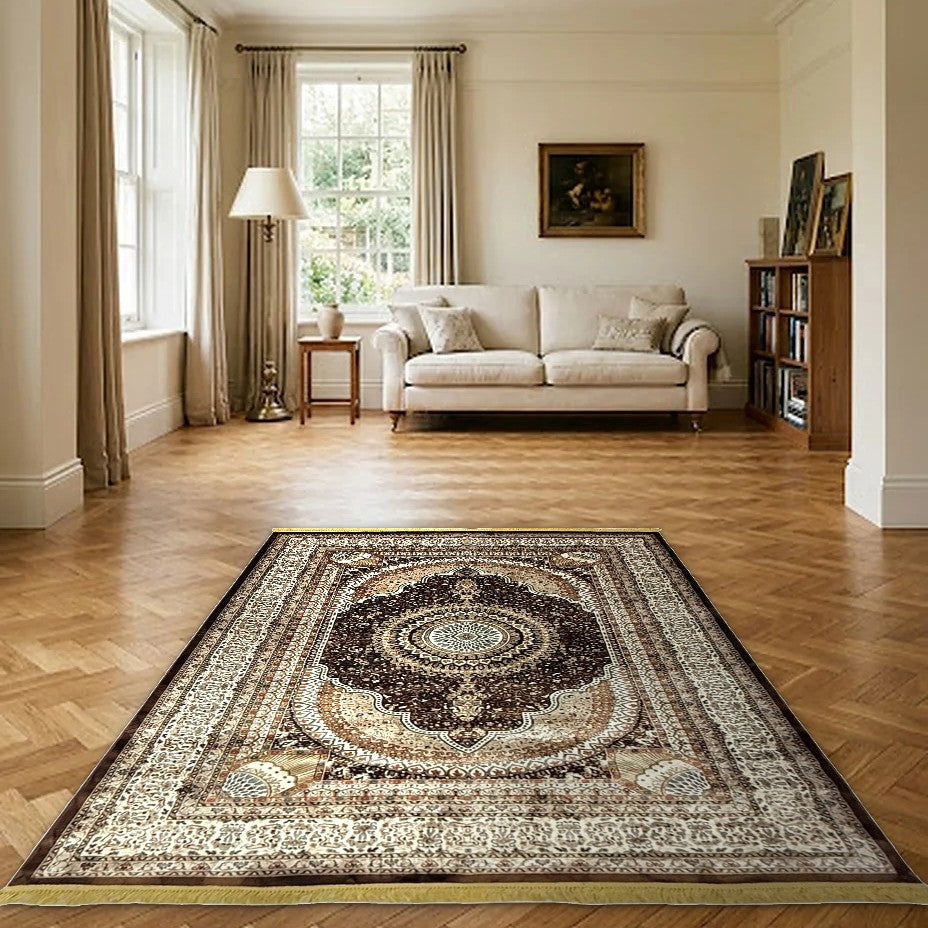Room view: the rug on the floor of a furnished room