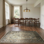 Room view: the rug on the floor of a furnished room