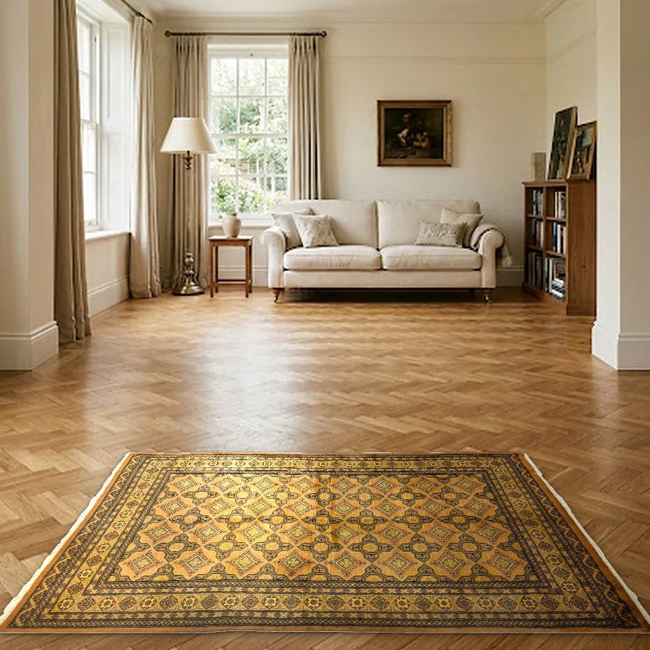 Room view: the rug on the floor of a furnished room