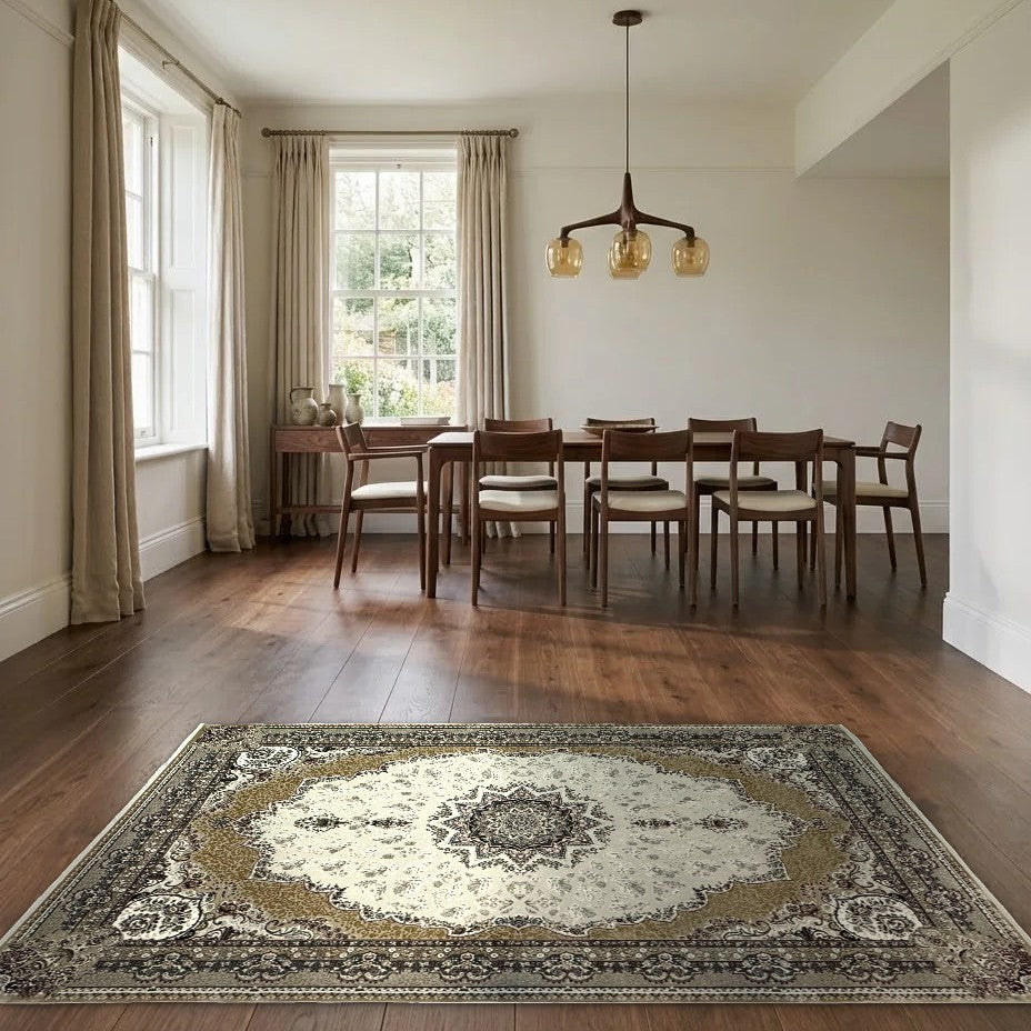 Room view: the rug on the floor of a furnished room