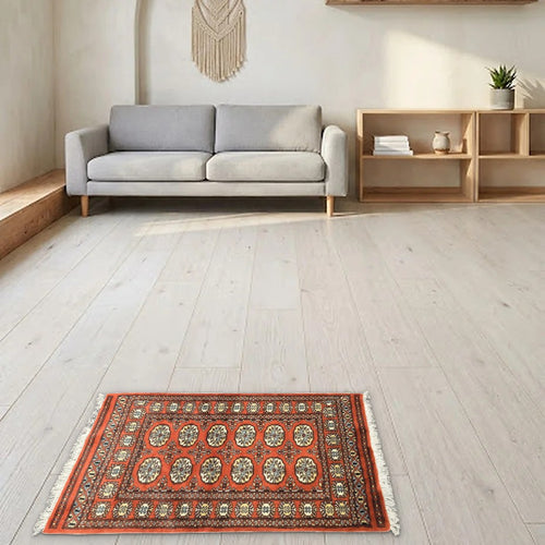 Room view: the rug on the floor of a furnished room