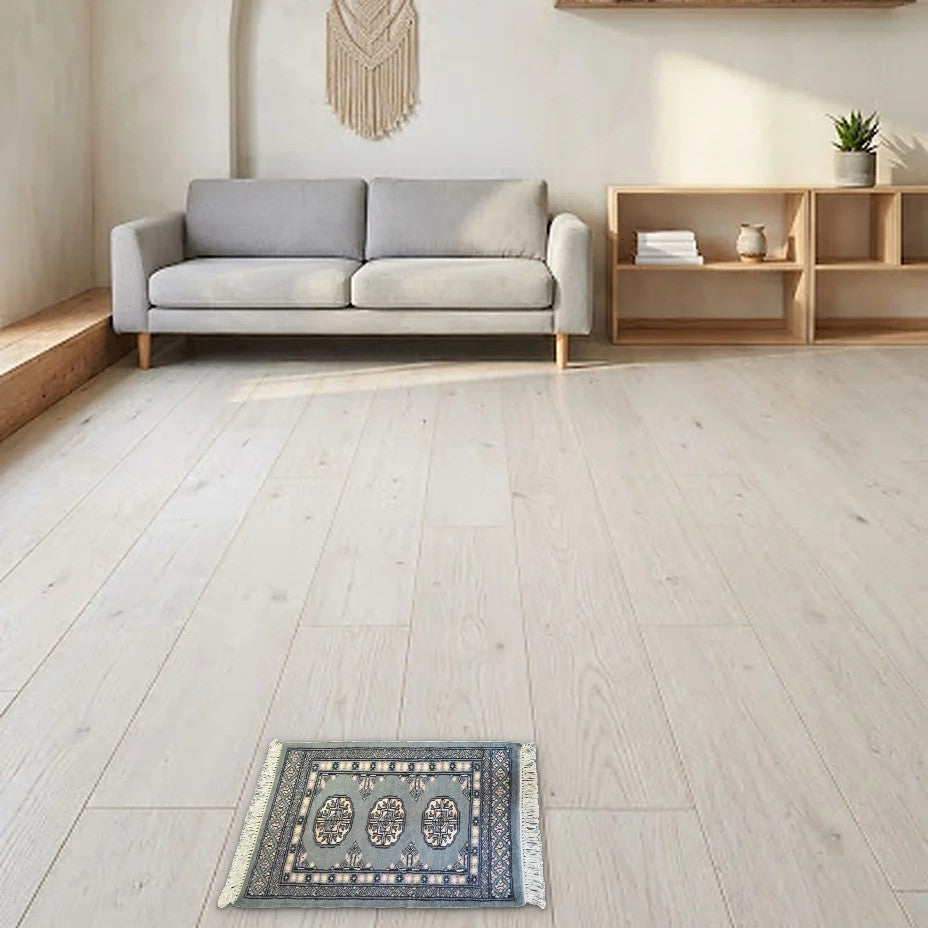 Room view: the rug on the floor of a furnished room