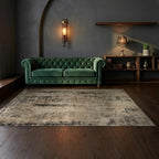 Room view: the rug on the floor of a furnished room