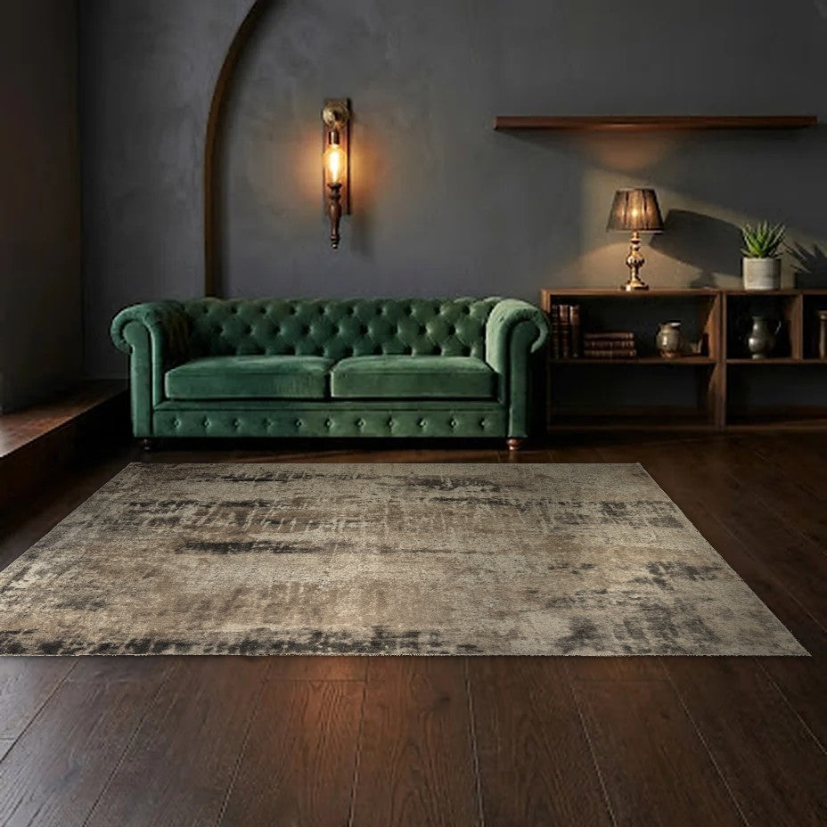 Room view: the rug on the floor of a furnished room