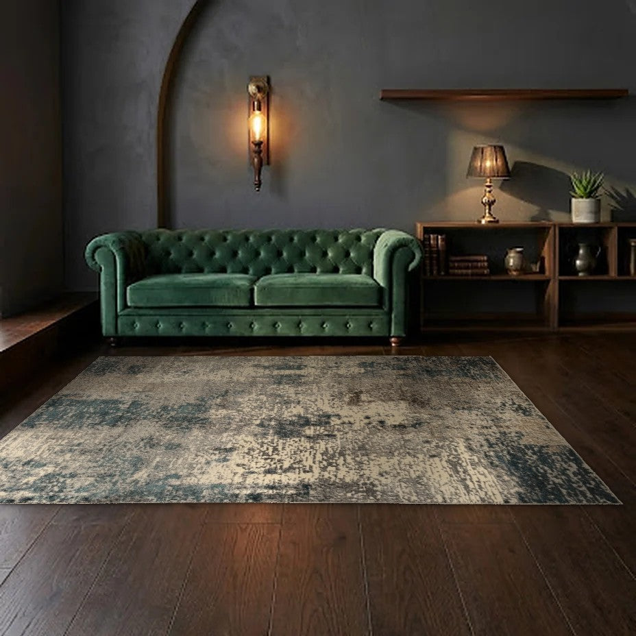 Room view: the rug on the floor of a furnished room
