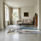 Room view: the rug on the floor of a furnished room