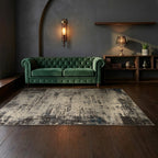 Room view: the rug on the floor of a furnished room